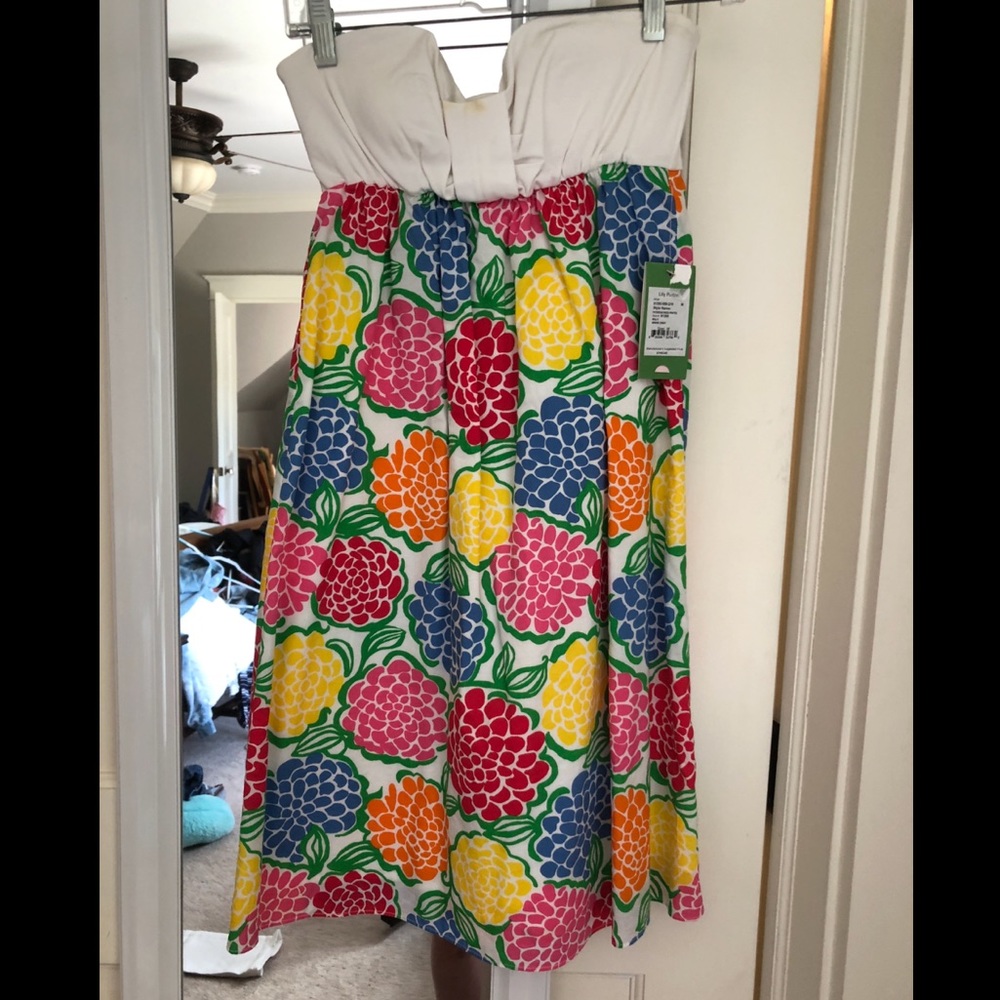 Floral Lilly Pulitzer Dress